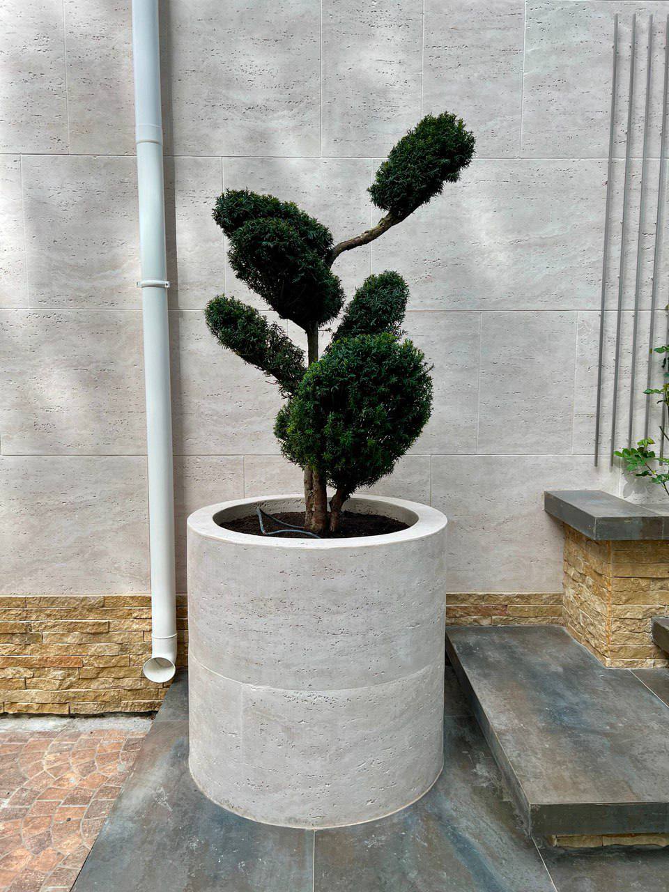 photo_2024-04-02 11.09.02.jpeg